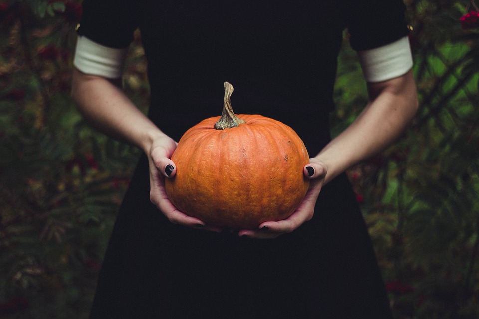 Zoom sur Halloween !